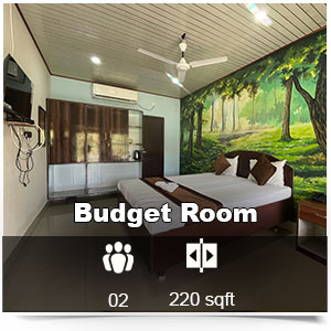 Blue berry resorts lataguri Budget room