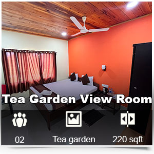 Blue berry resorts lataguri tea garden view room